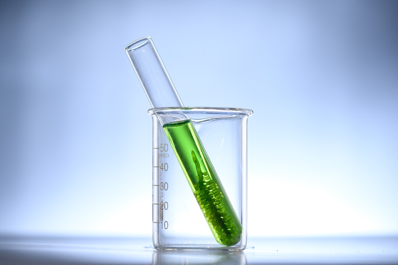 The Role of Biofuel in Sustainable Agriculture Practices
